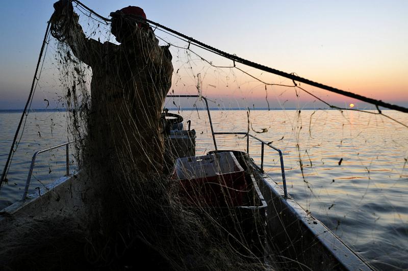 Fileyeur Arcachon ab1.JPG
